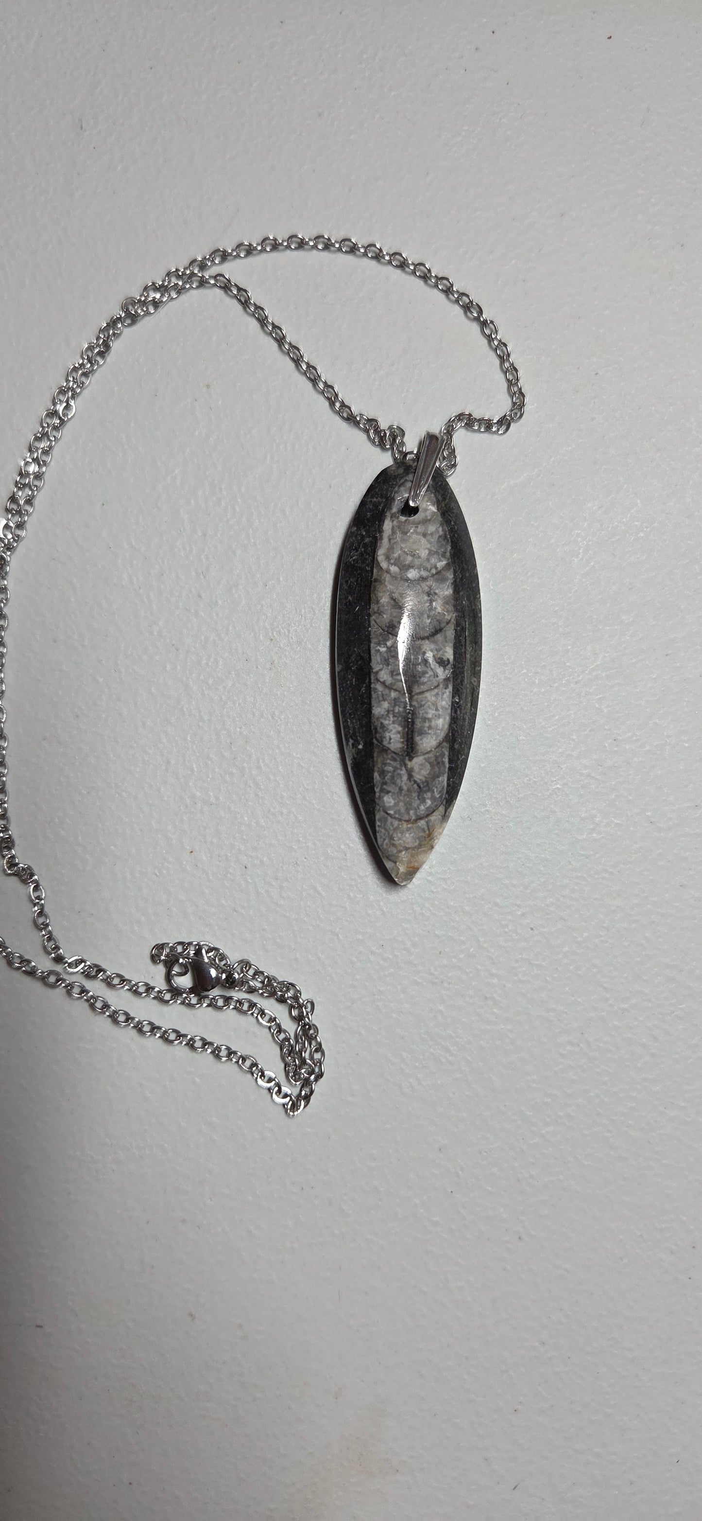 Orthoceras fossil necklace