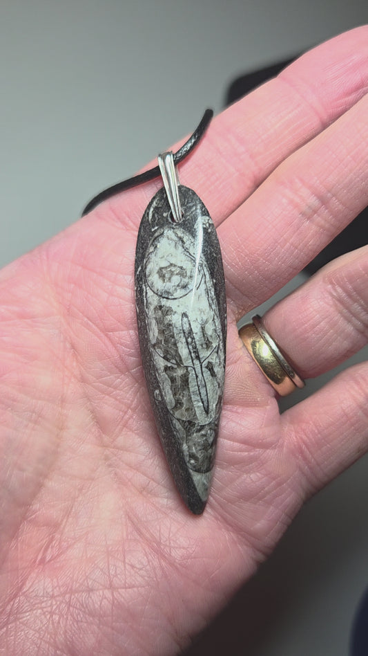 Orthoceras fossil necklace