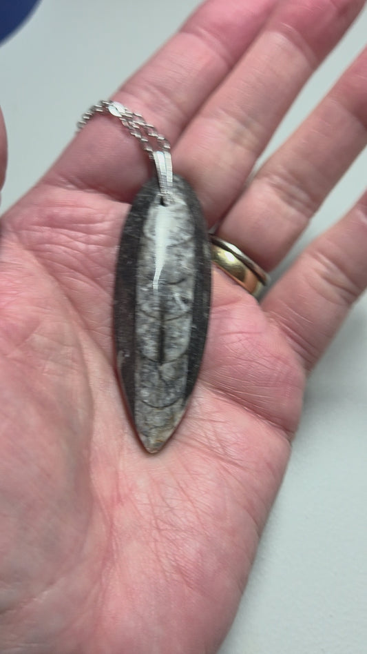 Orthoceras fossil necklace