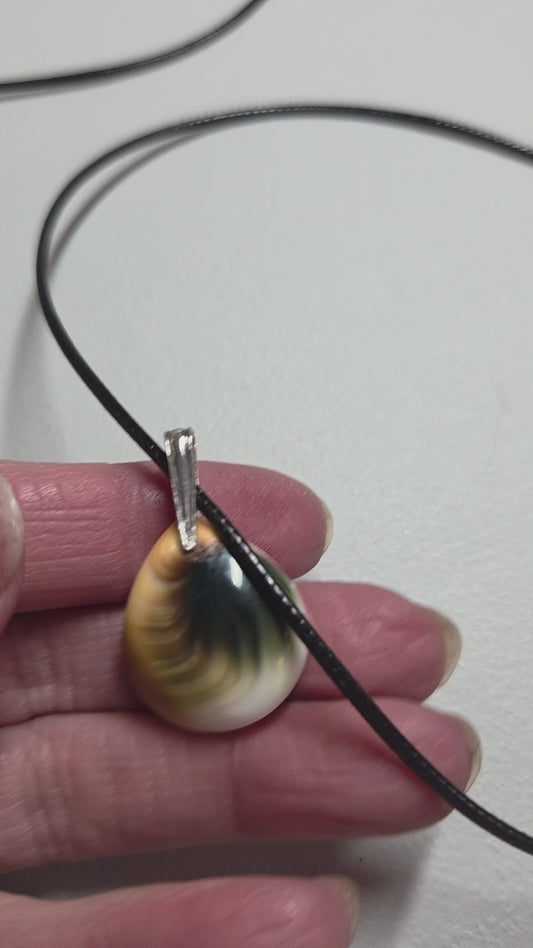 Shiva Eye Shell Pendant